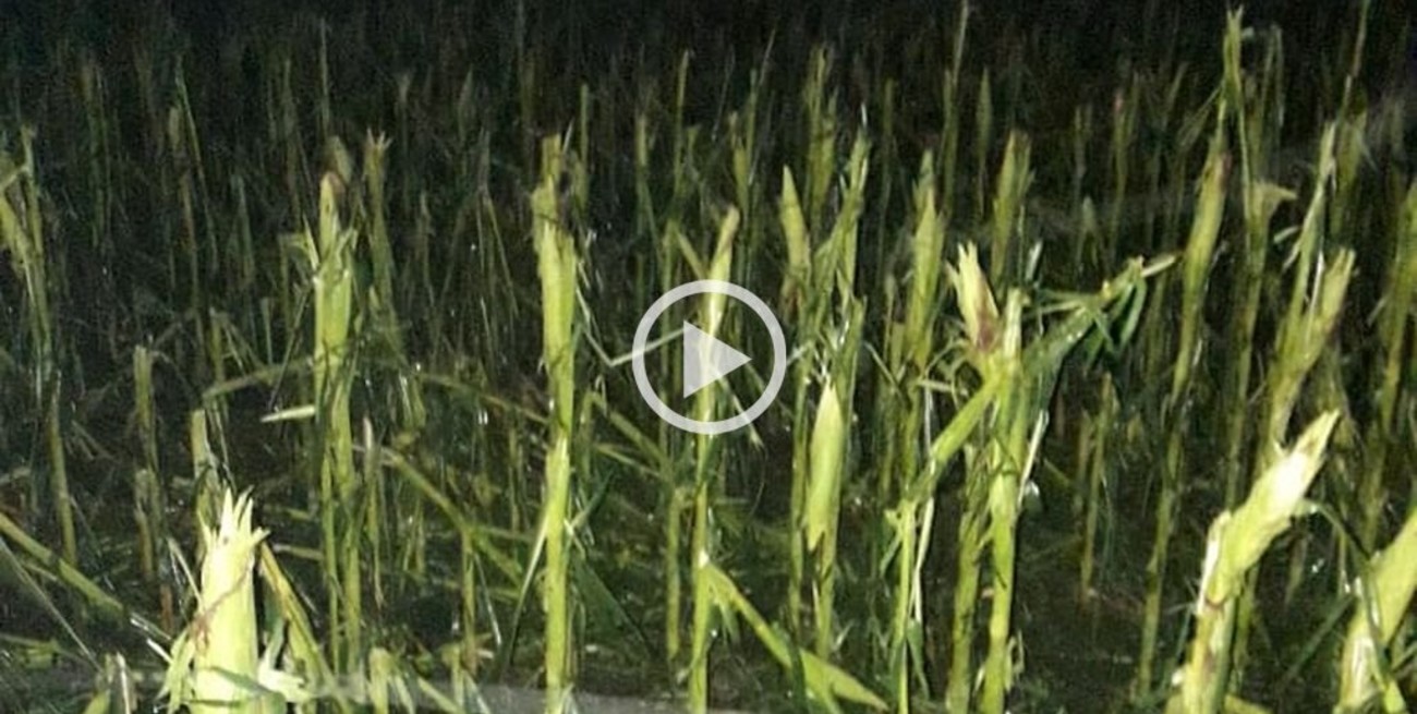 Temporal arrasó el oeste provincial 