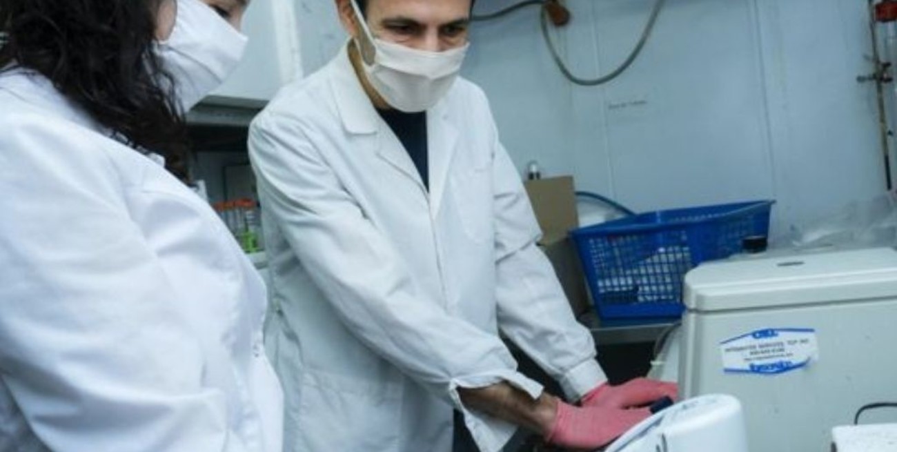  Se creó un organismo dedicado a la investigación, desarrollo y producción de vacunas nacionales