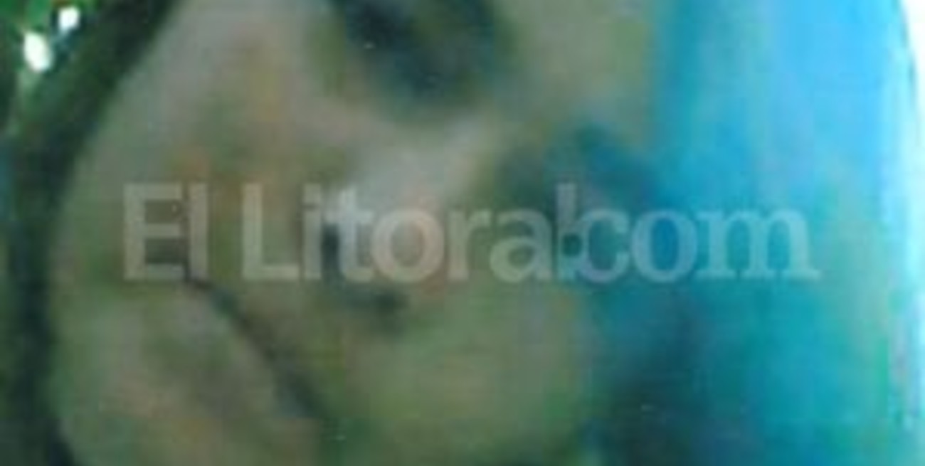 Buscan a Fernanda Carolina Godoy