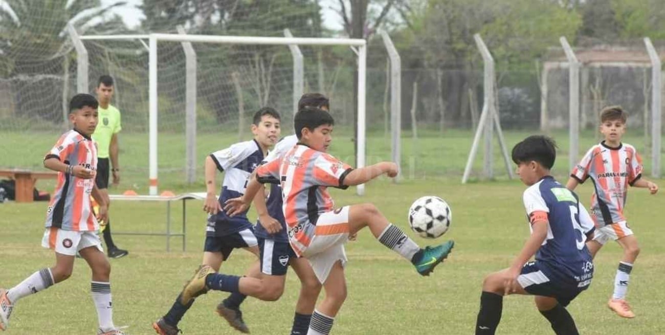 Cosmos FC: once años a puro progreso  