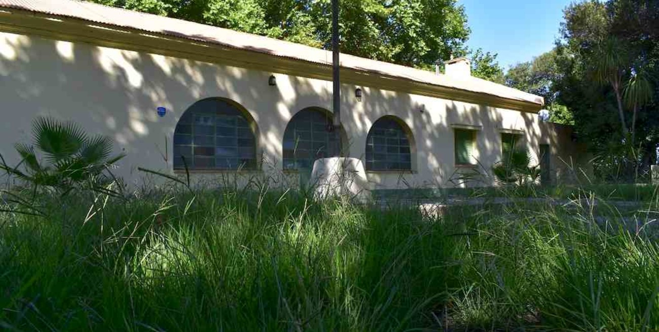 Piden informes por plantas campamentiles y espacios educativos al aire libre que están abandonados 