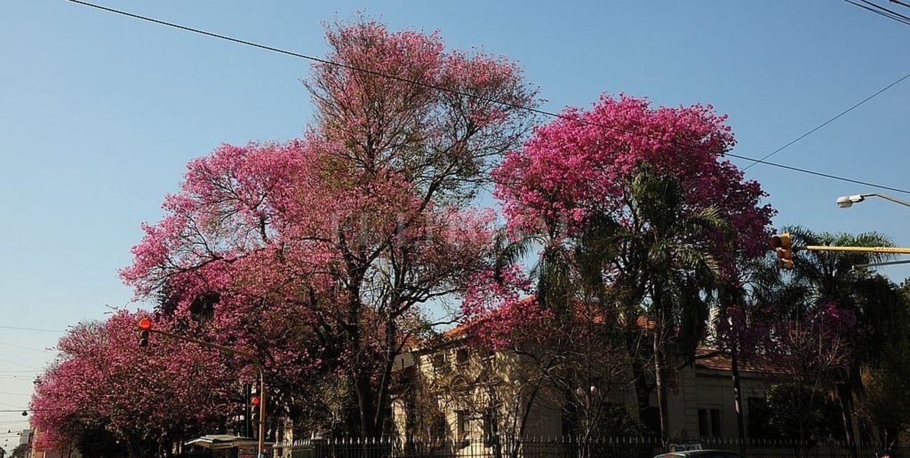 El velado caso de la escuela Simón de Iriondo  