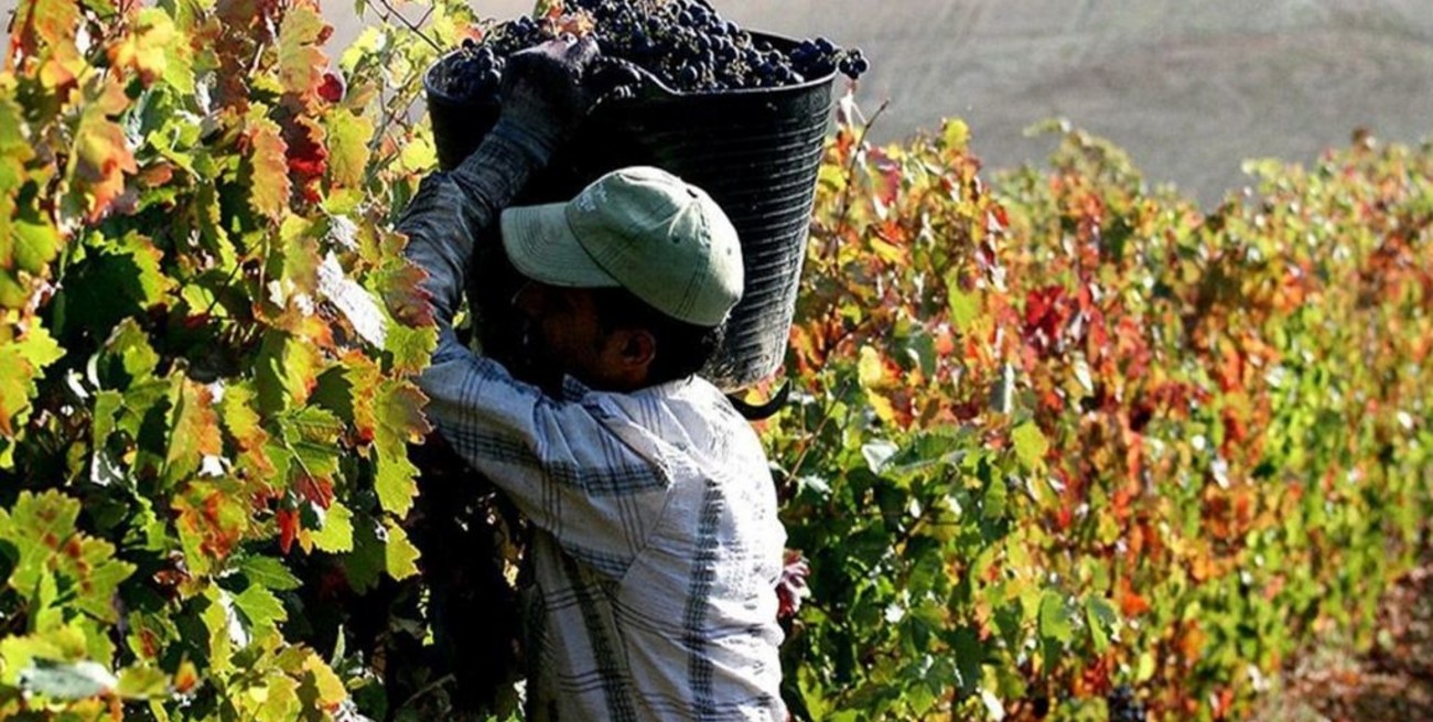 Trabajadores viñateros serán beneficiados tras la aprobación de dos leyes