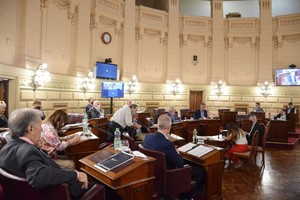 Gentileza Cámara de Senadores El Senado santafesino tiene una sola visión frente al temor a que el país caiga en default. La unanimidad habilita lecturas políticas, en especial en el justicialismo que tiene dos bloques de 6 integrantes cada uno.