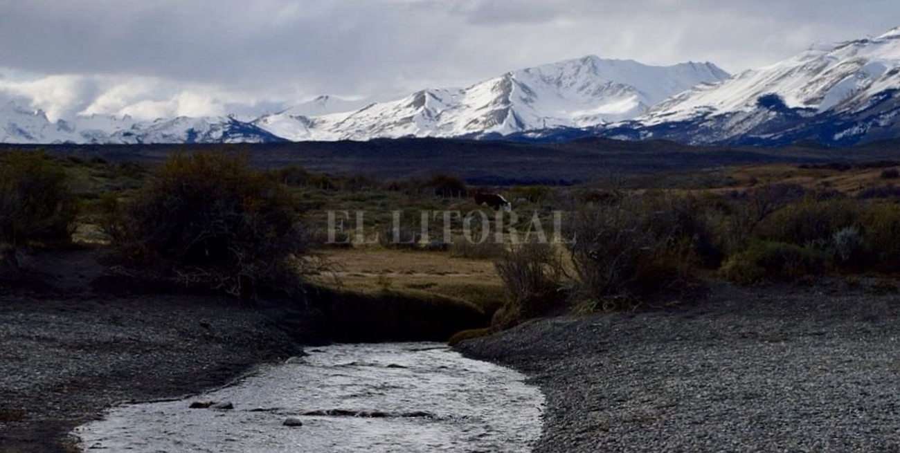 Línea directa: "los únicos privilegiados son los niños"; "residuos en las avenidas" y otros mensajes