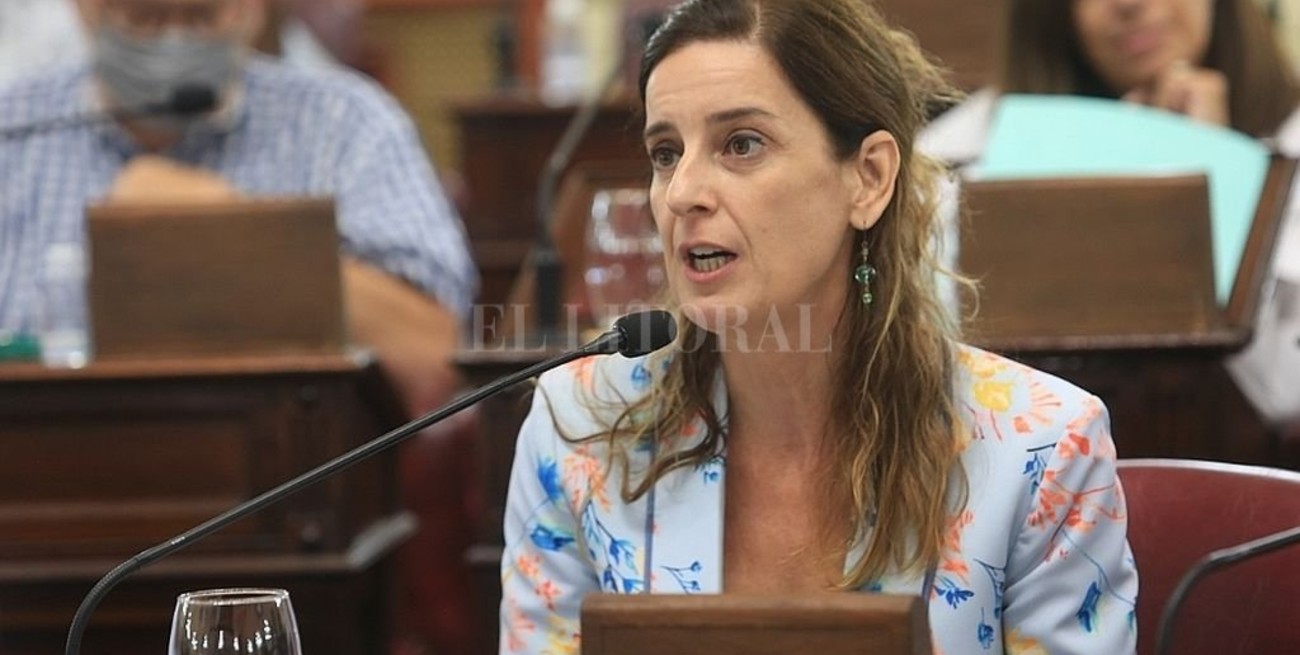 Diputados santafesinos piden informe sobre comedores escolares