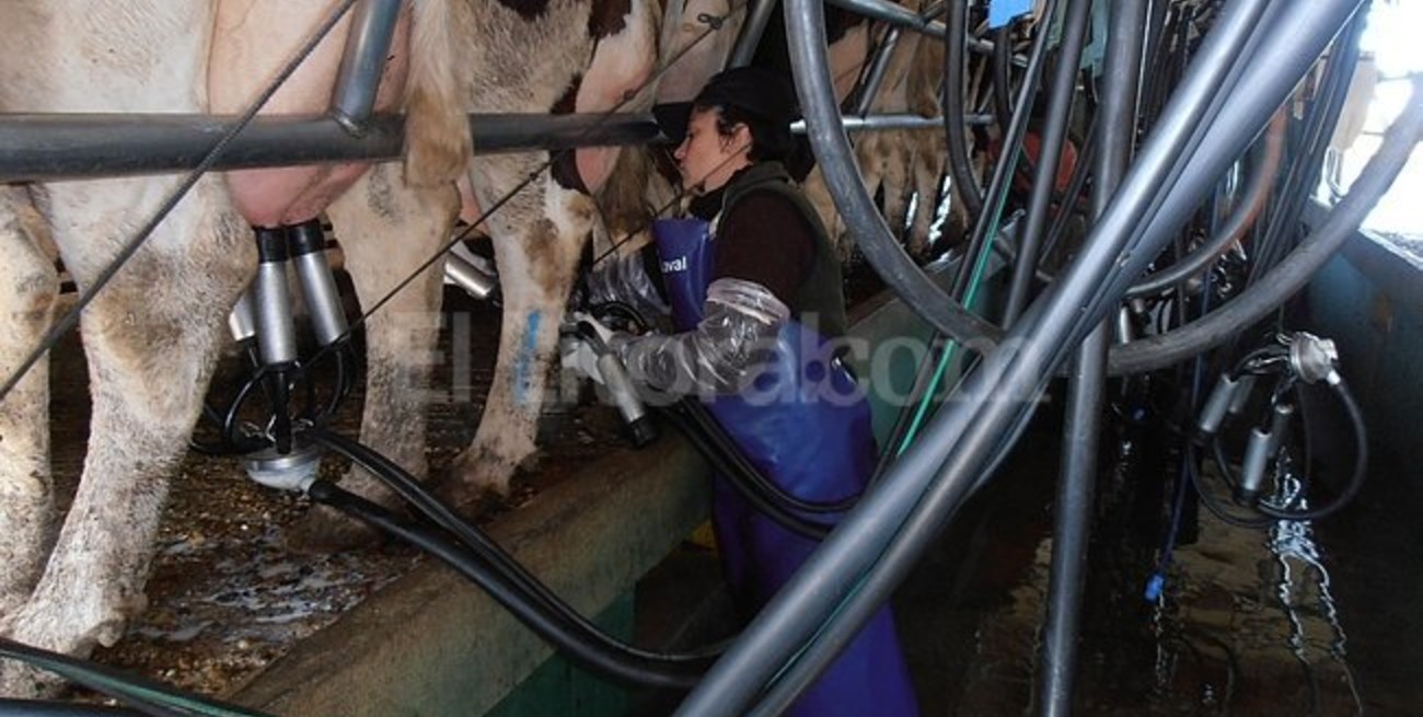 La provincia asistirá con 100 millones de pesos a productores lecheros