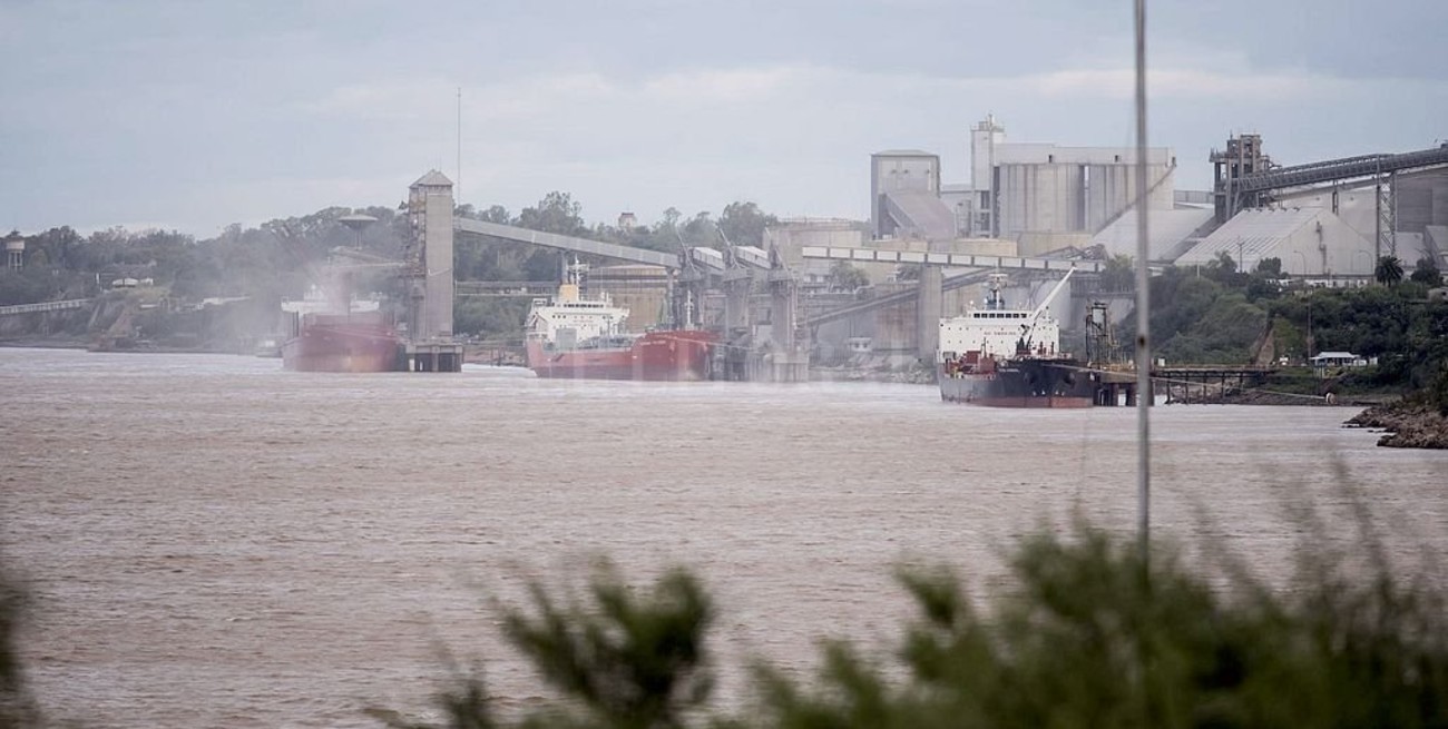 La campaña de soja 2020/21 aportará este año unos US$ 8.000 millones más que en 2020