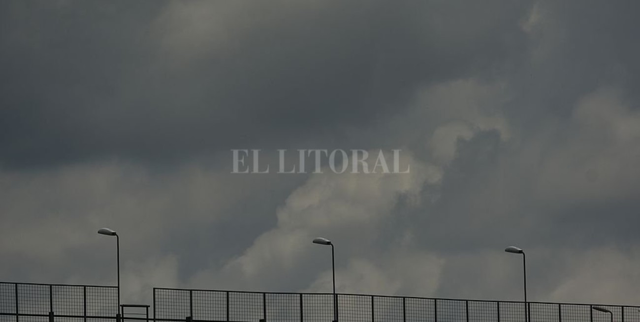 Línea directa: "inseguridad", "sembrar frutales" y otros mensajes 