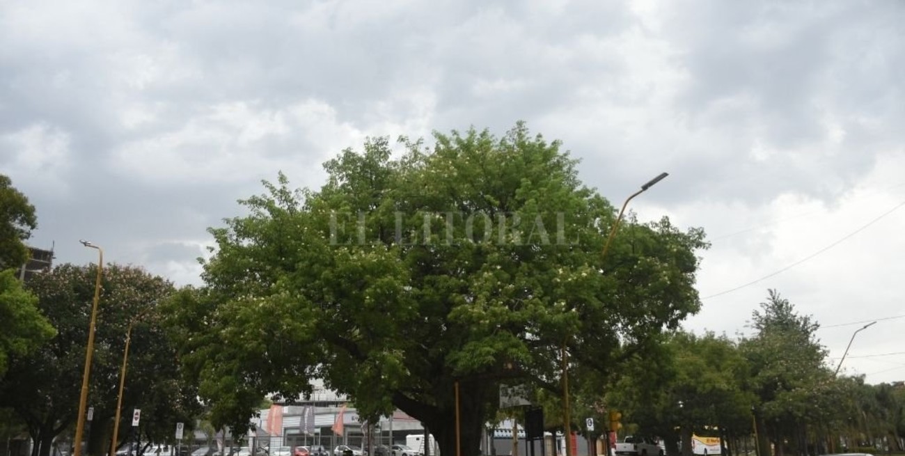 Podría volver a llover este viernes en la ciudad de Santa Fe