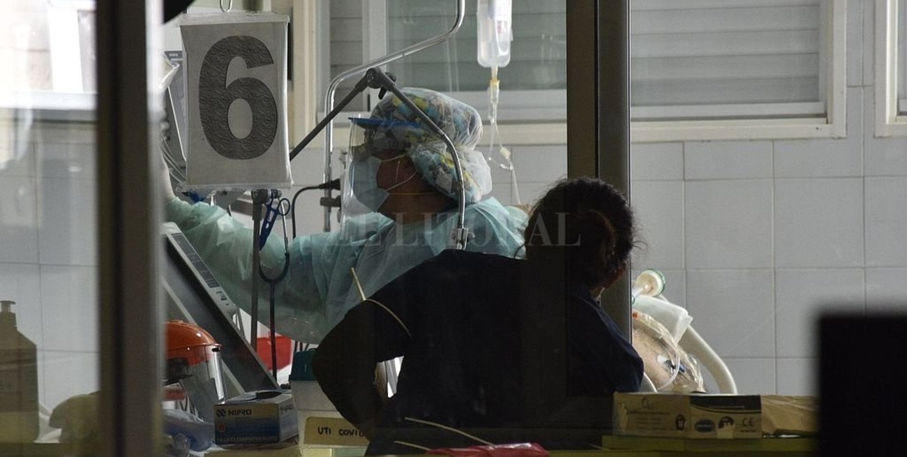 Comenzaron a aplicar suero equino hiperinmune a pacientes con Covid internados en el Cullen