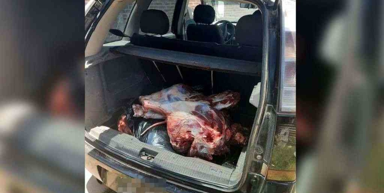 Inspector cuatrero de San Justo recuperó la libertad tras entregar a los cómplices