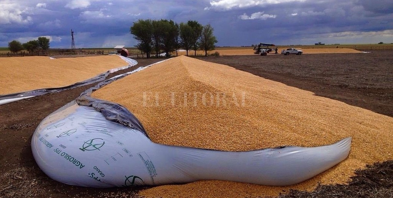 El delito rural en la mira