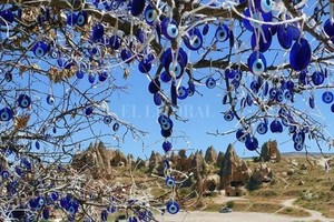 Captura de Internet Árboles con sus ojos colgando como hojas en Capadocia.