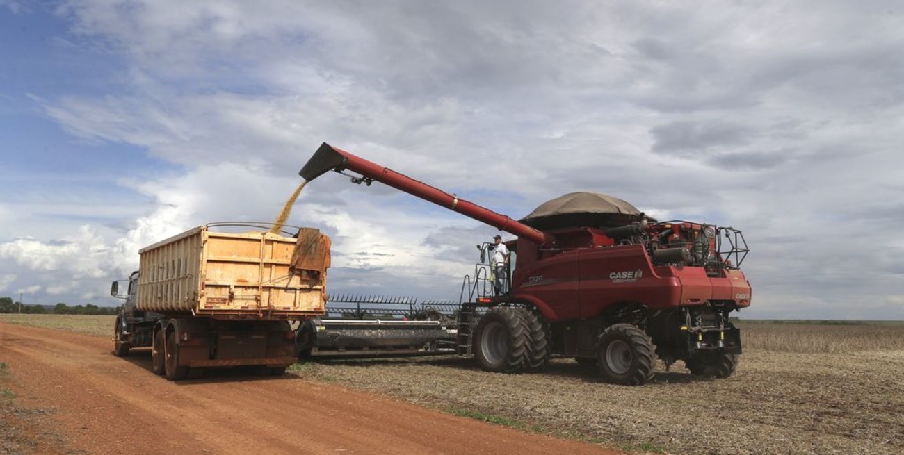 El Gobierno dijo que no subirán las retenciones al maíz, soja y trigo, pero aumentarían las de harina y aceite de soja