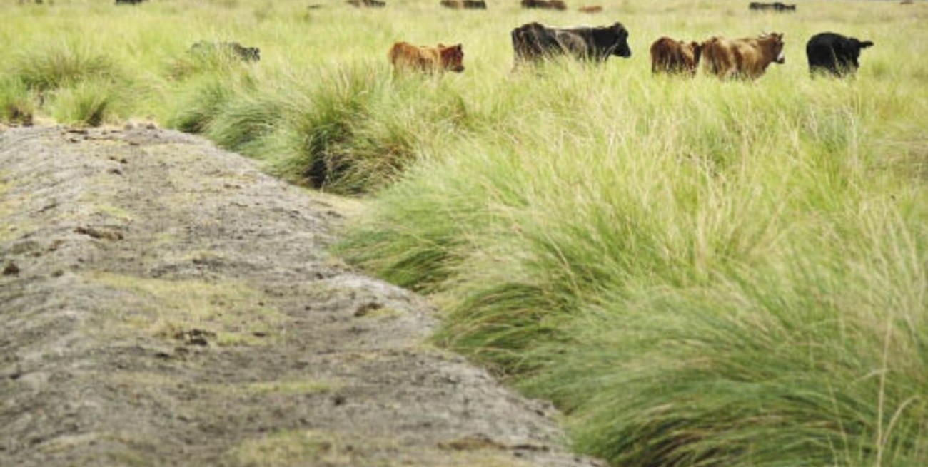 Nuevo encuentro del Comité Interjurisdiccional de la Región Hídrica de los Bajos Submeridionales