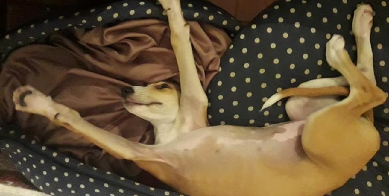 Línea directa: "Enriquecimiento ilícito", "La otra guerra" y otros mensajes