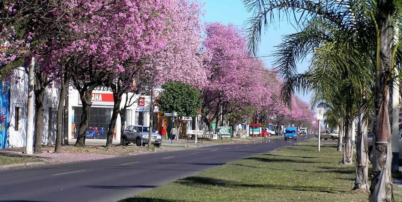 Reconquista: ladrón de mochila tras las rejas