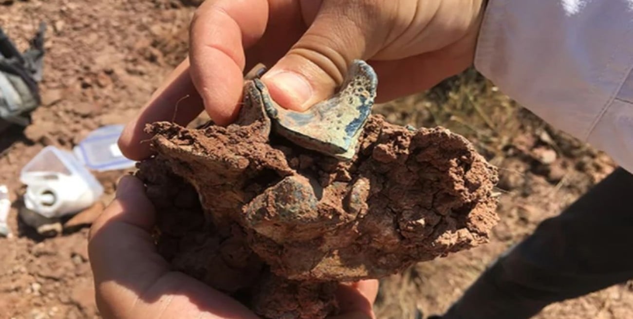 Descubren un continente perdido hace unos 40 millones de años