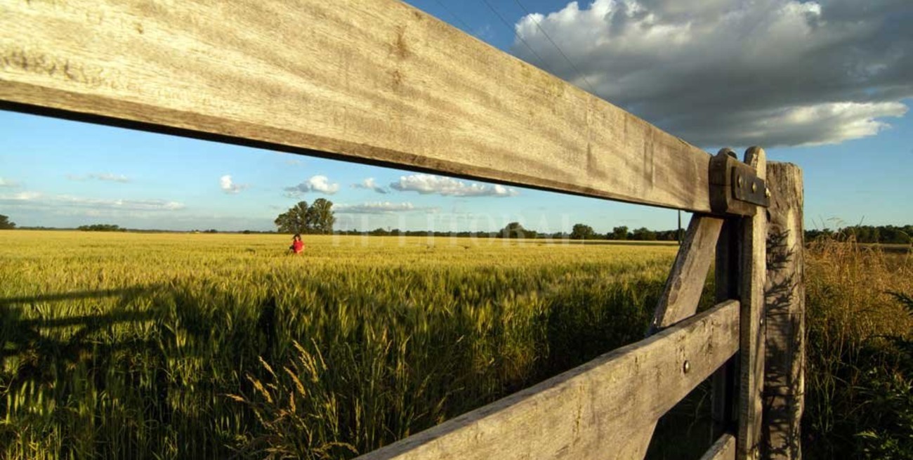 Malestar en el campo por  la suba en las retenciones