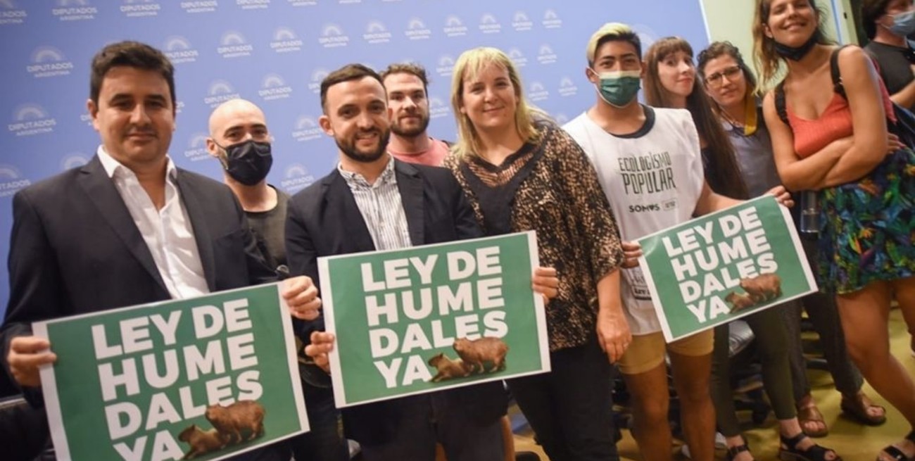 Diputados volvieron a presentar el proyecto Ley de Humedales