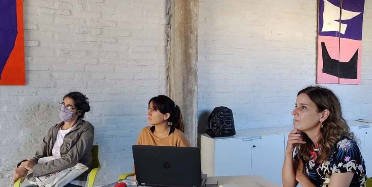 Bajos submeridionales: Hynes se reunió con especialistas 