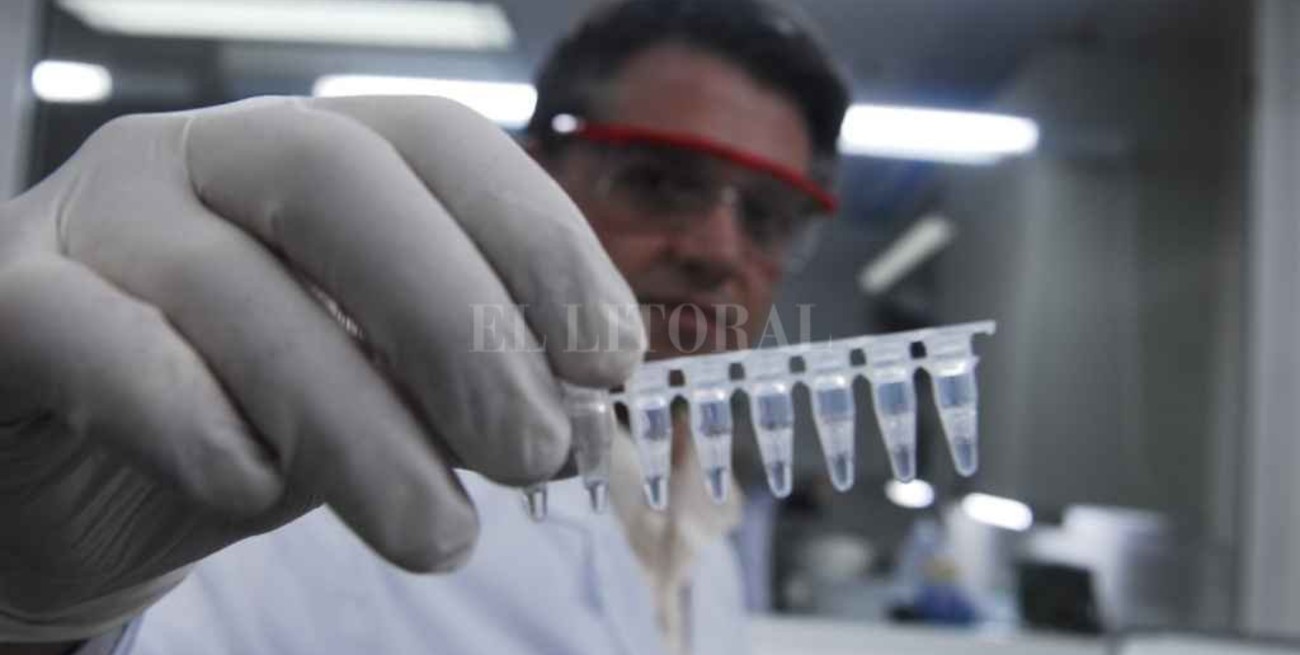 Desde que comenzó la pandemia, el Laboratorio Público de Rosario realizó más de 300.000 test de coronavirus