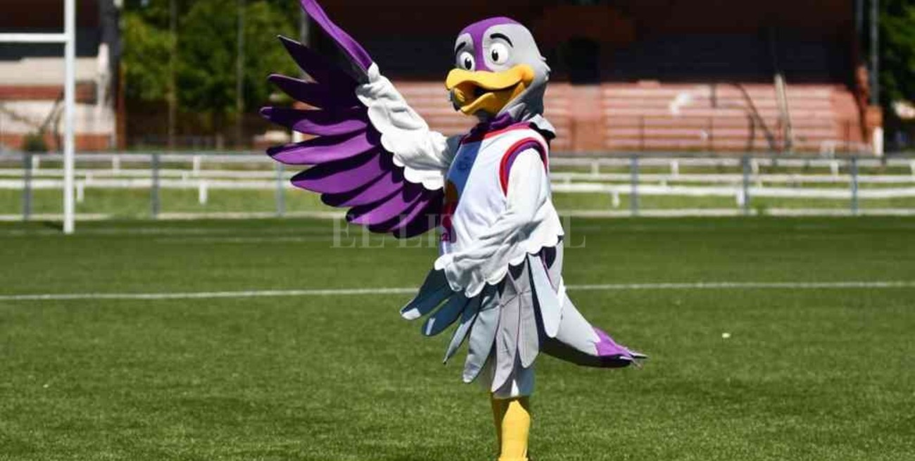 Qué es el Fan Fest y qué actividades se podrán realizar