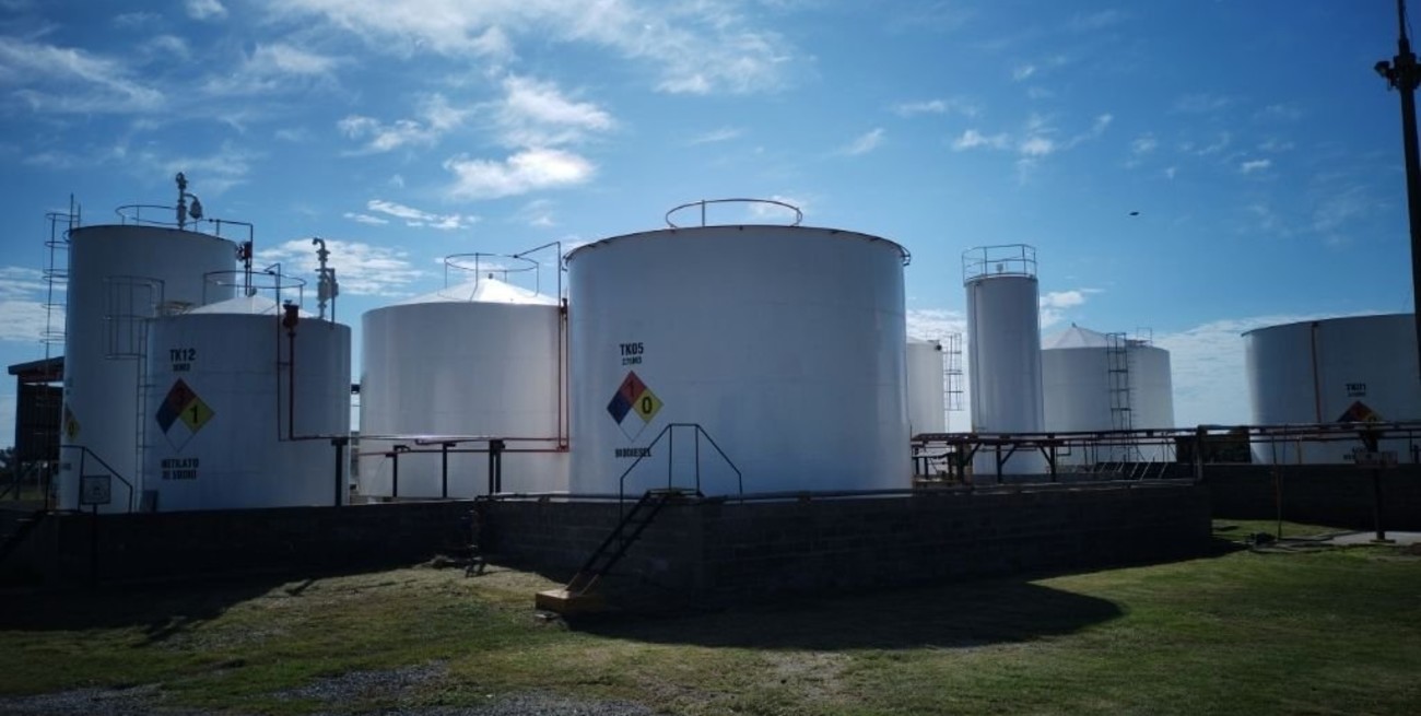 Continúan las conversaciones para sustituir gasoil importado con biodiésel