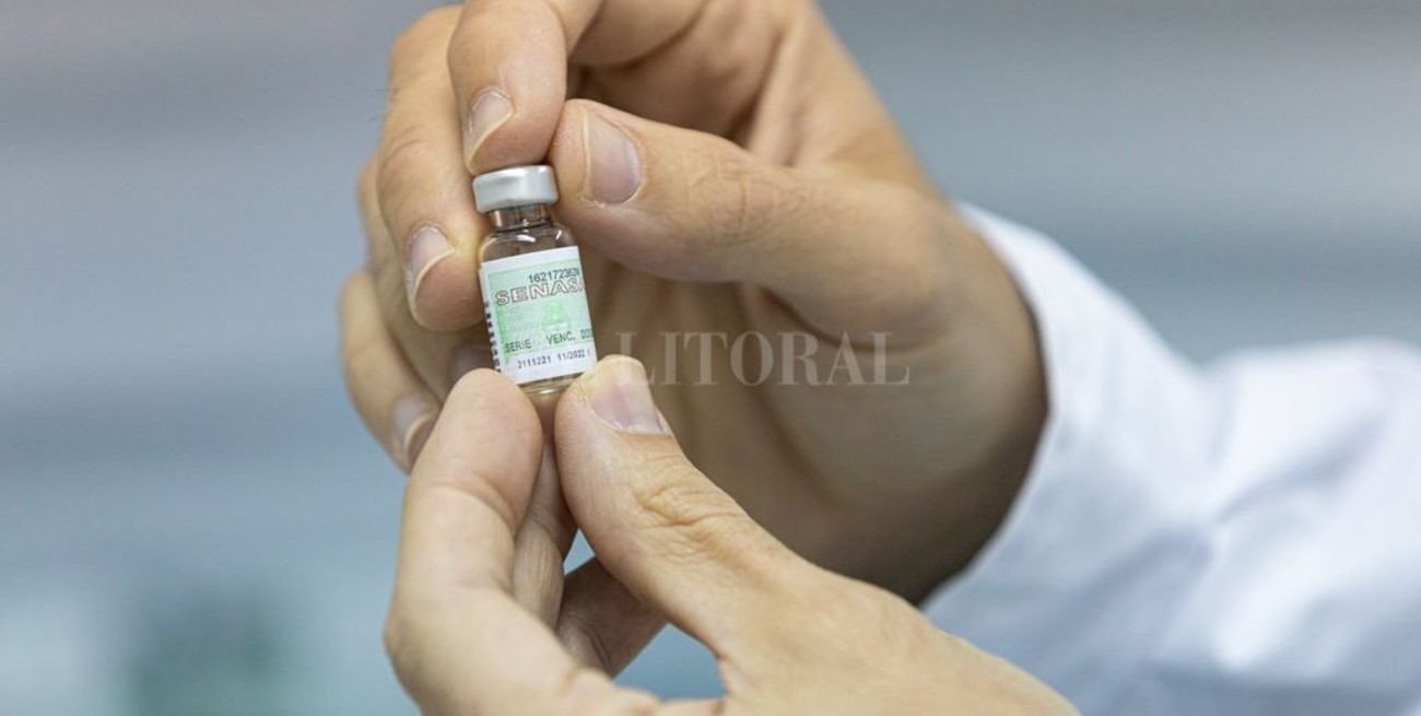 Senasa aprobó una innovadora vacuna contra la rabia animal desarrollada en Santa Fe