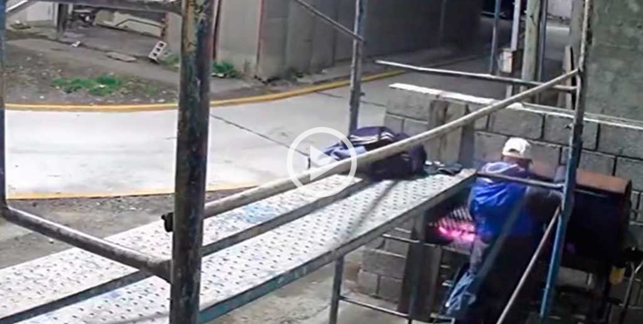 Video: ladrón aprovechó la ausencia del asador y se robó una tira de carne