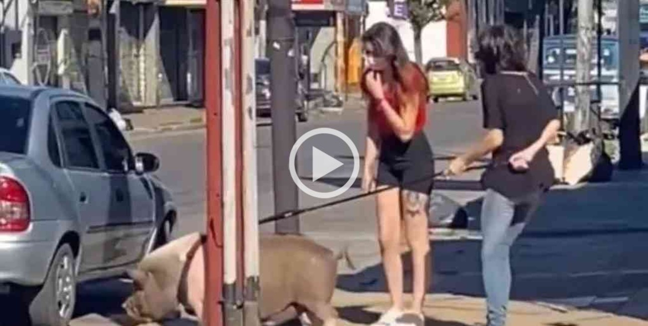 Es viral: sacó a pasear un chancho por pleno centro de Lanús 