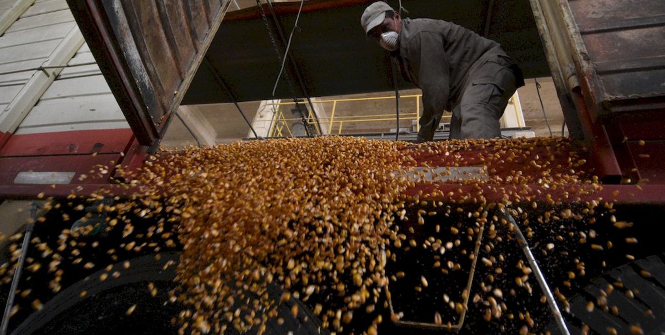 Europa le abre a Argentina la posibilidad de comercializar granos