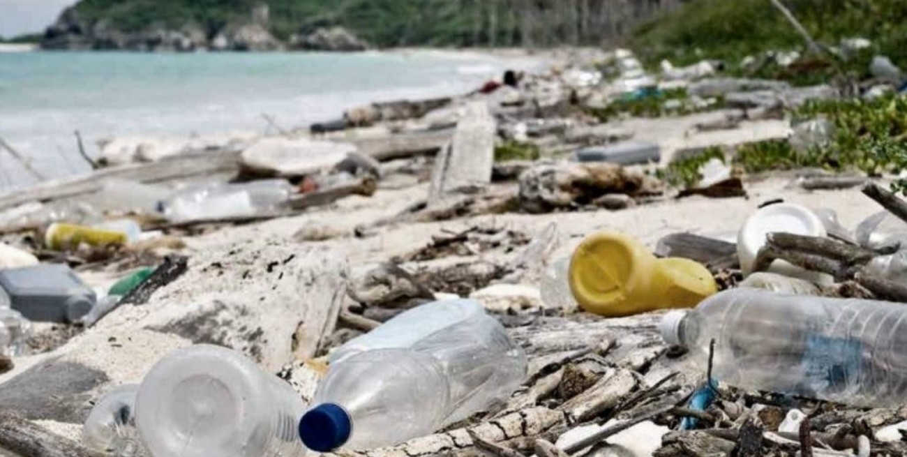 Comemos y respiramos plástico: la advertencia de científicos