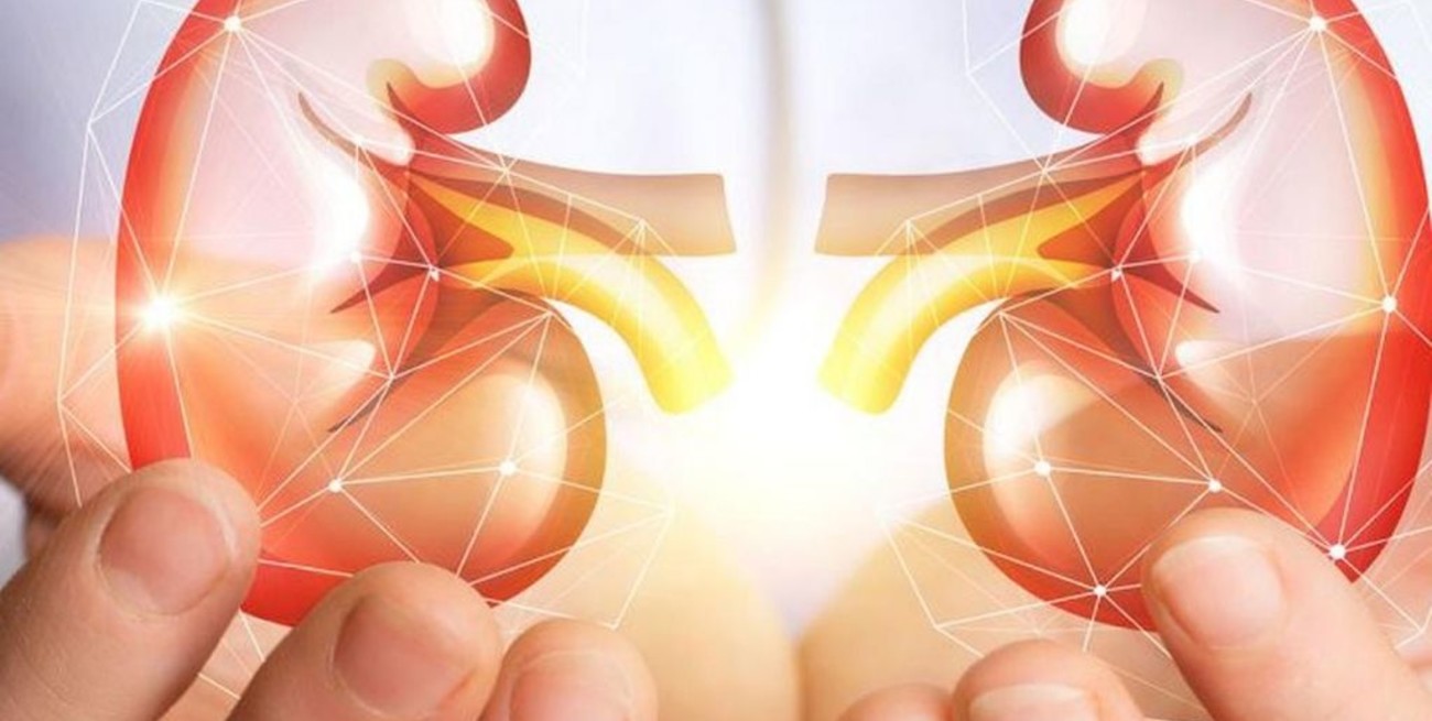 Unas 600 personas esperan para recibir un riñón en Santa Fe