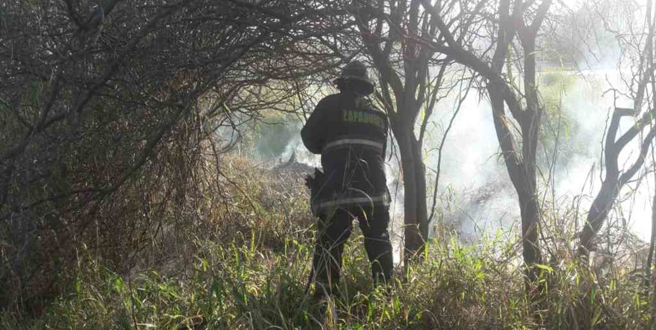 Continúa activo un foco de incendio forestal en la localidad de Vera