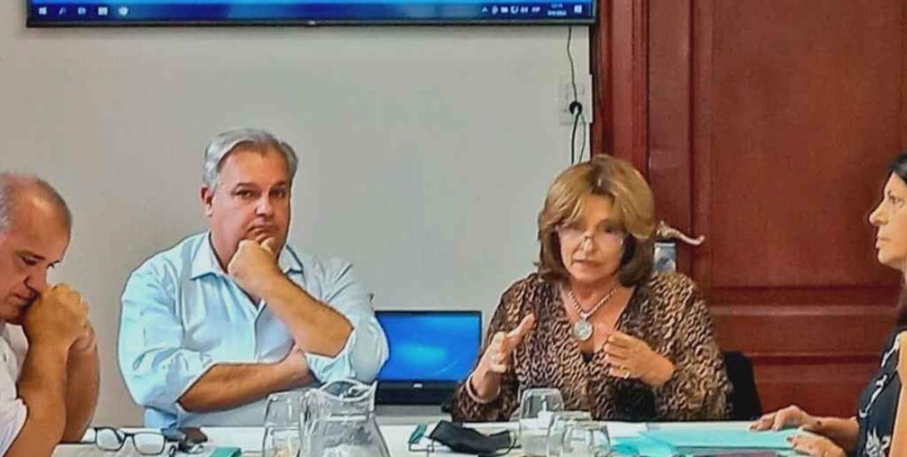 Régimen especial para colectivos y ambulancias que tendrán mayor vida útil