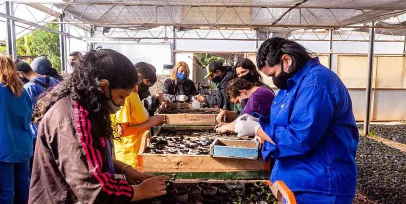 Abre la inscripción para capacitaciones en la Escuela de Jardinería municipal