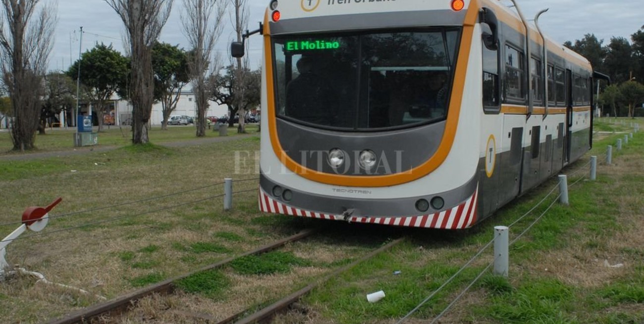 La novela del tren urbano parece que llegó a su final: Jatón anunció que será subastado