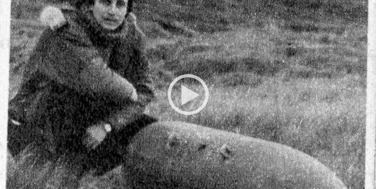 ¿Por qué perdimos una guerra que se iba ganando?