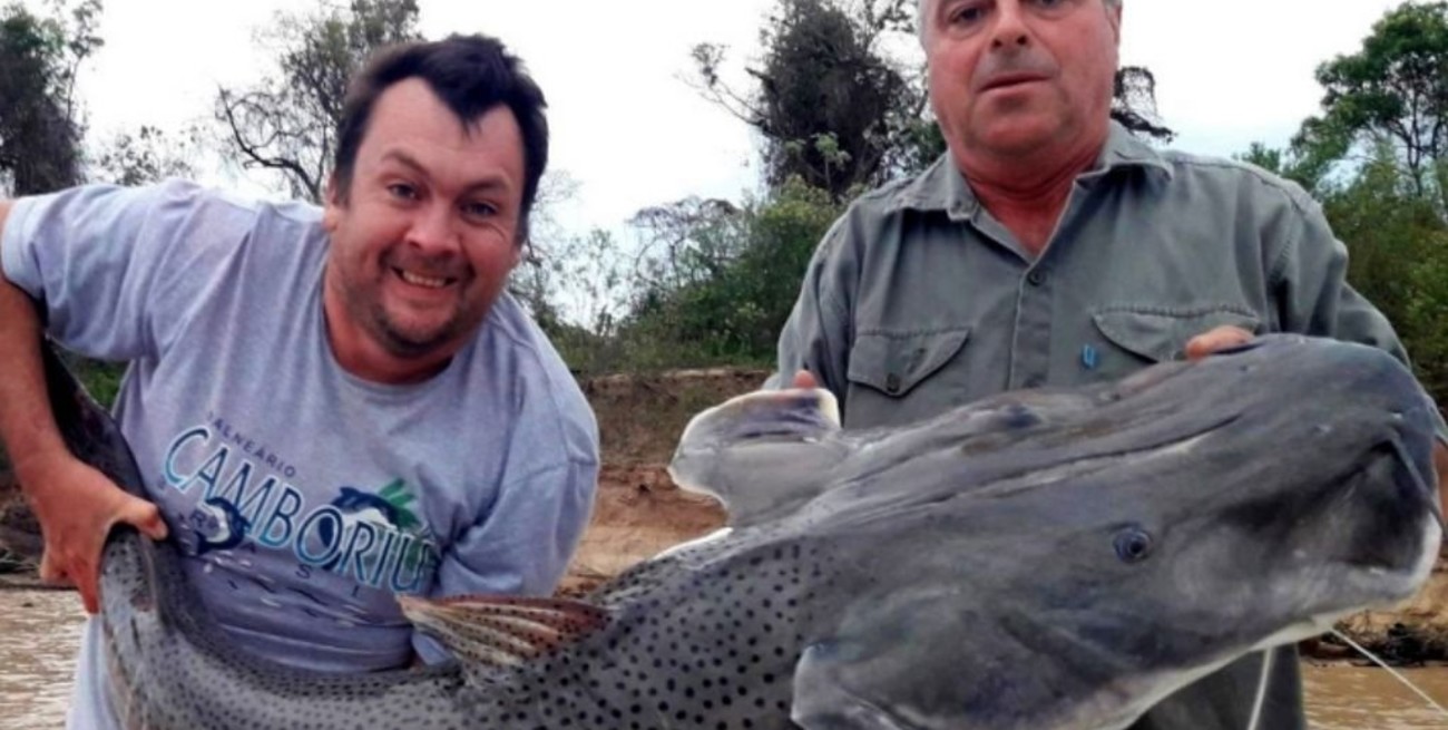 Pescan un surubí de casi 50 kilos en el río Paraná