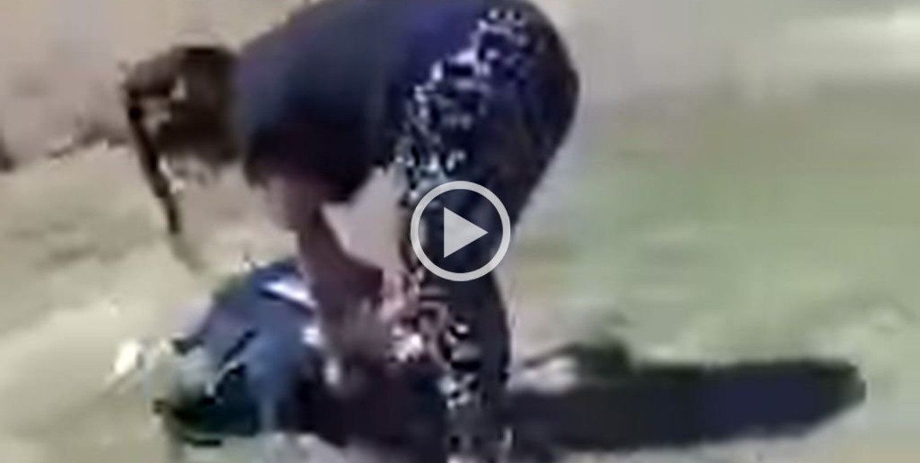 Una adolescente dejó inconsciente a otra durante una pelea viral "a patadas" en Mendoza