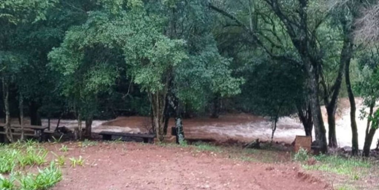 Una nena de 2 años se cayó en un arroyo y su hermanito se ahogó queriéndola rescatar