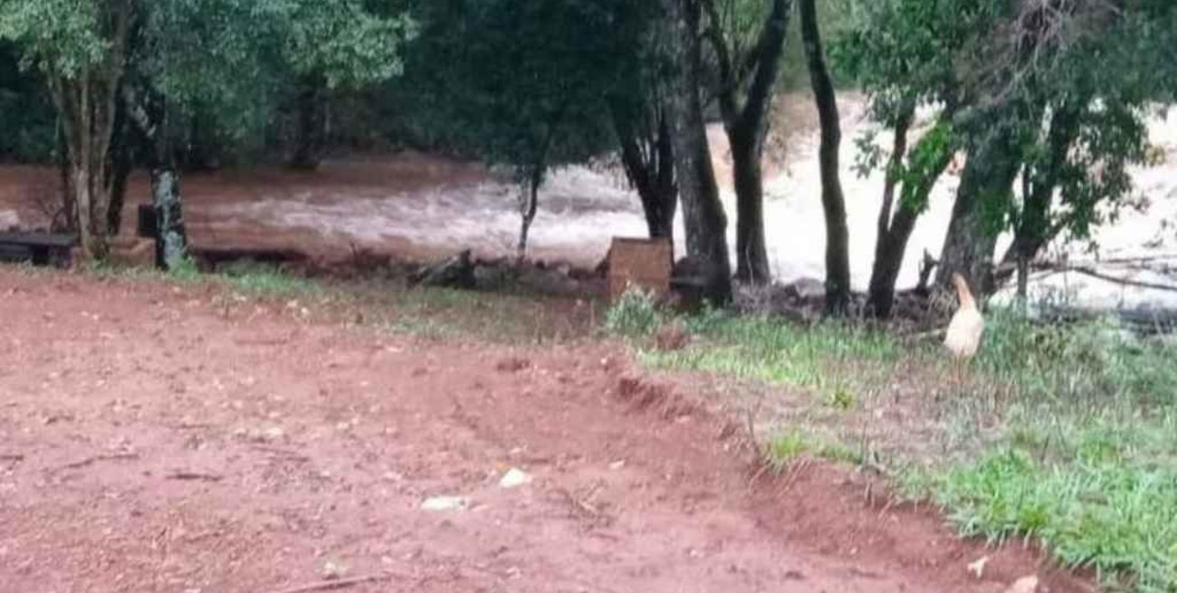 Dos hermanos se ahogaron al caer al cauce de un arroyo en Misiones
