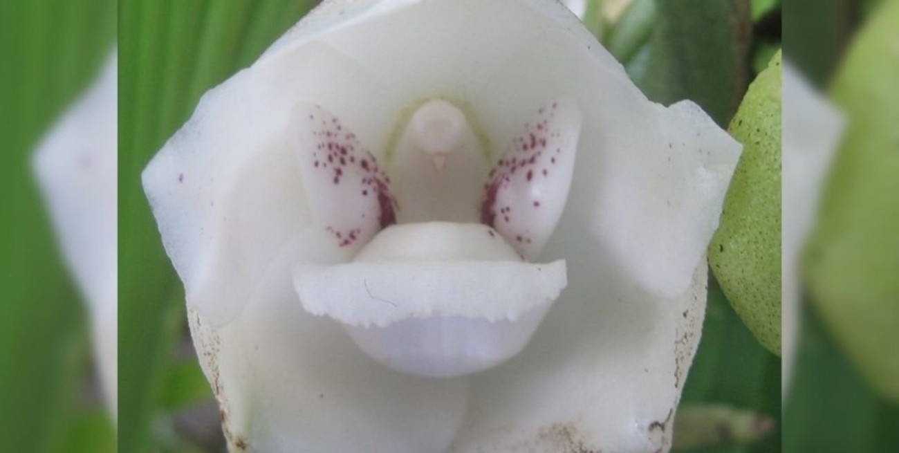 Línea directa: "Agradecimiento y reiteración de reclamos", "Jesús, el sufrimiento y el pecado" y otros mensajes