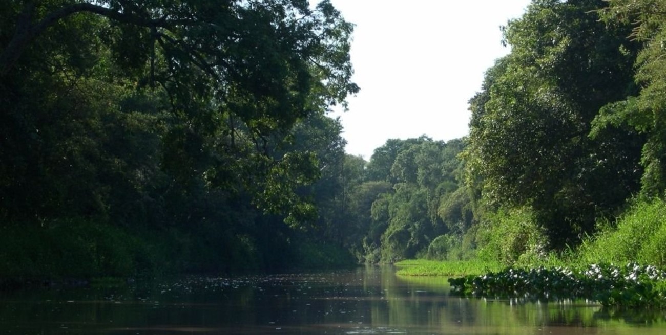 Hynes: "Santa Fe necesita una nueva ley de ambiente"