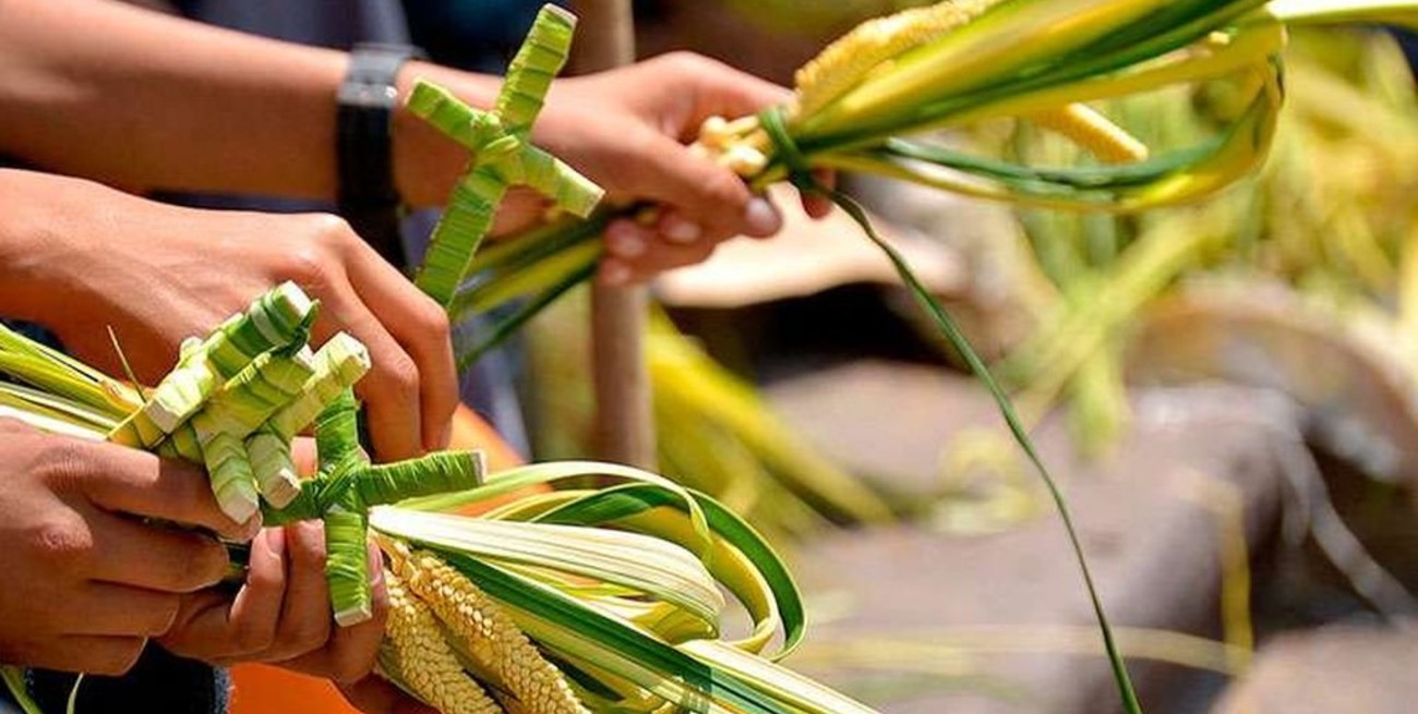 La Iglesia celebra hoy el Domingo de Ramos, el inicio de la Semana Santa
