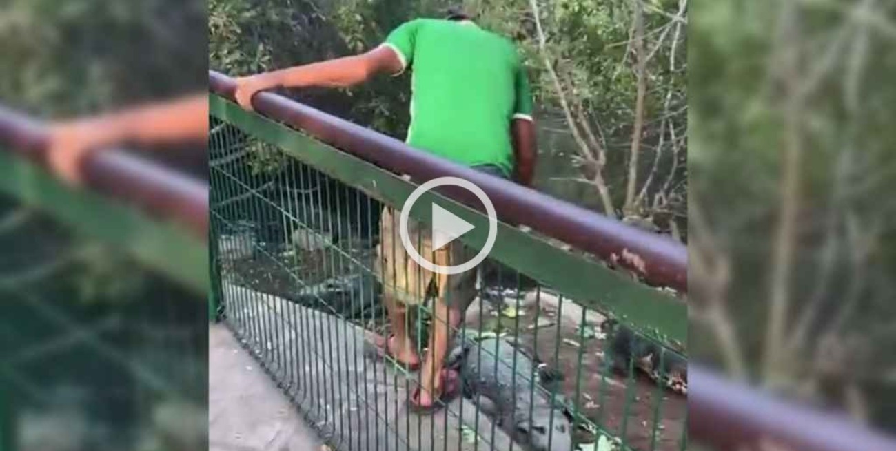 Un hombre en estado de ebriedad enfrentó a cocodrilos en México: "No me faltes al respeto porque soy tu rey" 