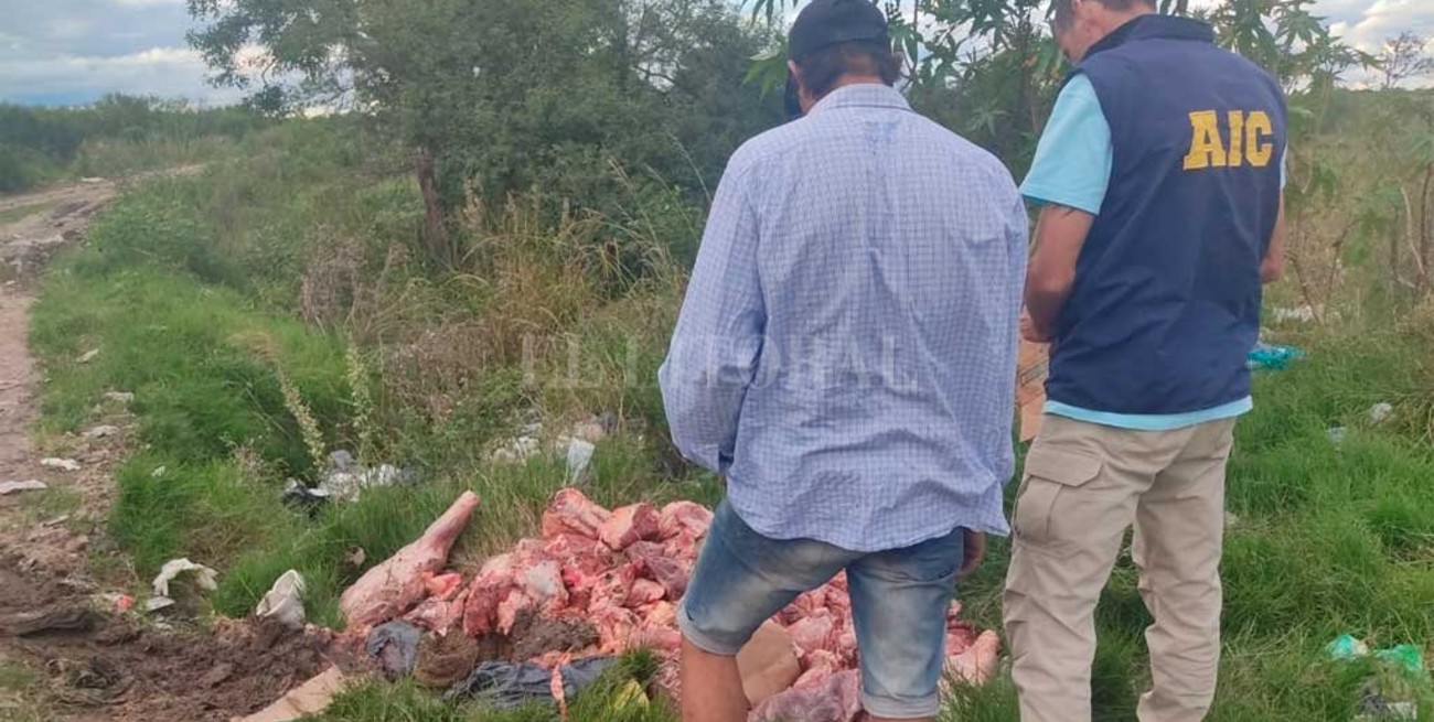 Desbarataron dos bandas que se dedicaban al abigeato en la costa santafesina