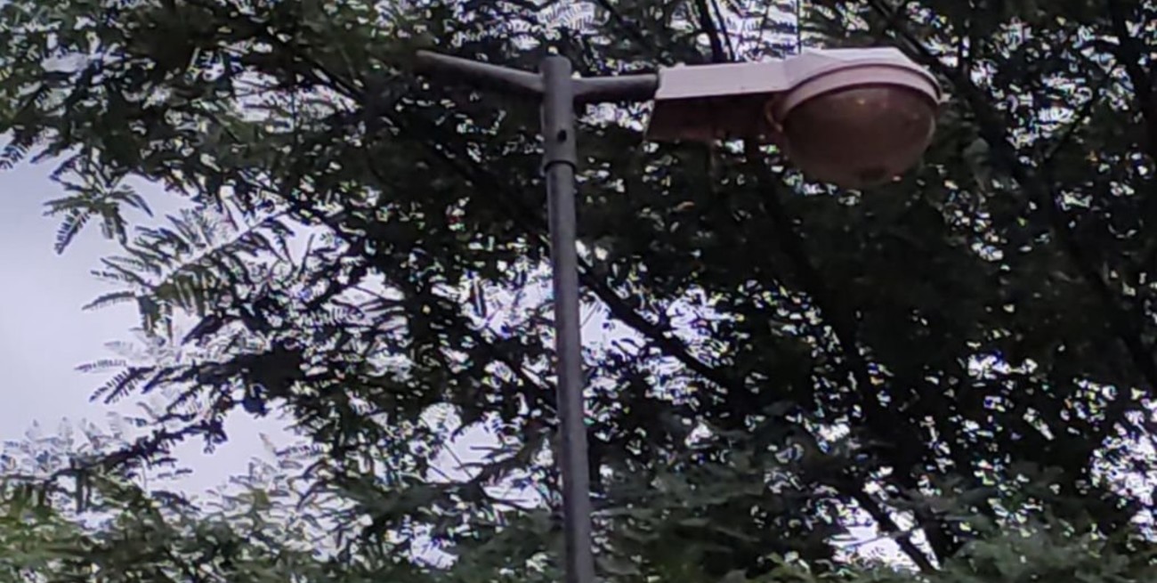 Intentaron robar luces en el Parque Garay